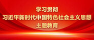 操肥骚屄视频学习贯彻习近平新时代中国特色社会主义思想主题教育_fororder_ad-371X160(2)